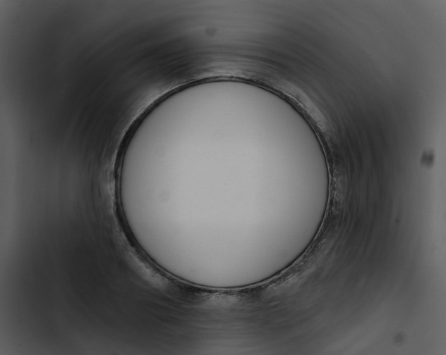 X0000102850890200809081241