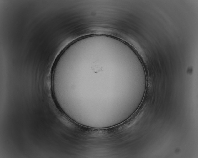 X0000102850891200809081241