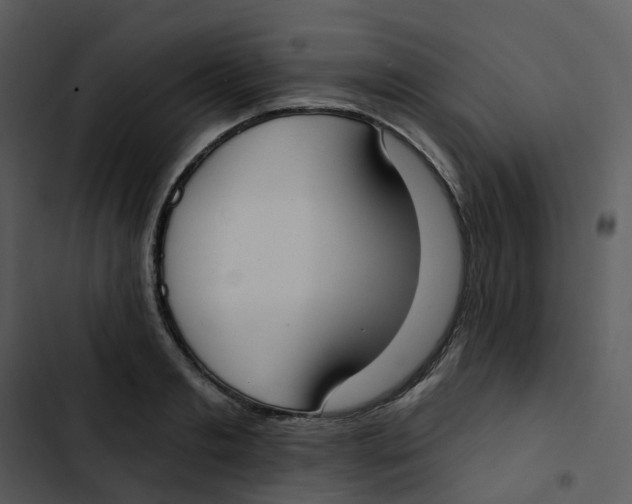 X0000102850893200809081241