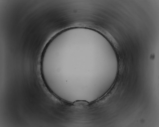 X0000102850896200809081241