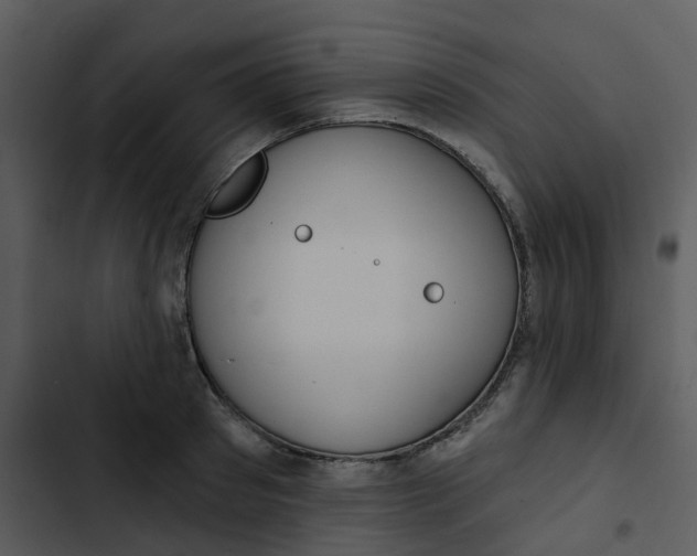 X0000102850897200809081240