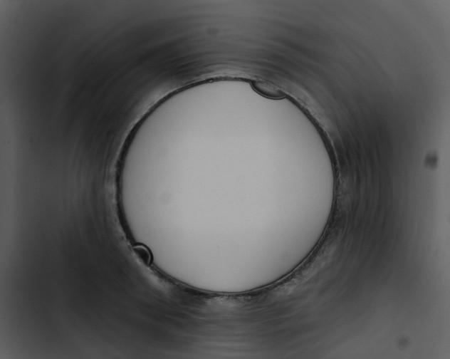 X0000102850898200809081240