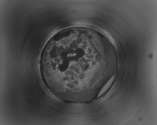 X0000102850899200809081240