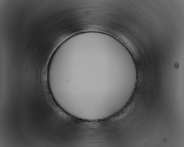 X0000102850900200809081240