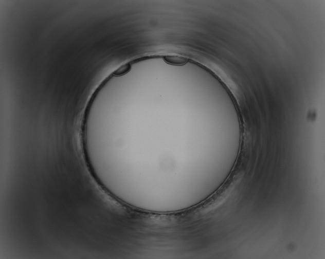 X0000102850901200809081240