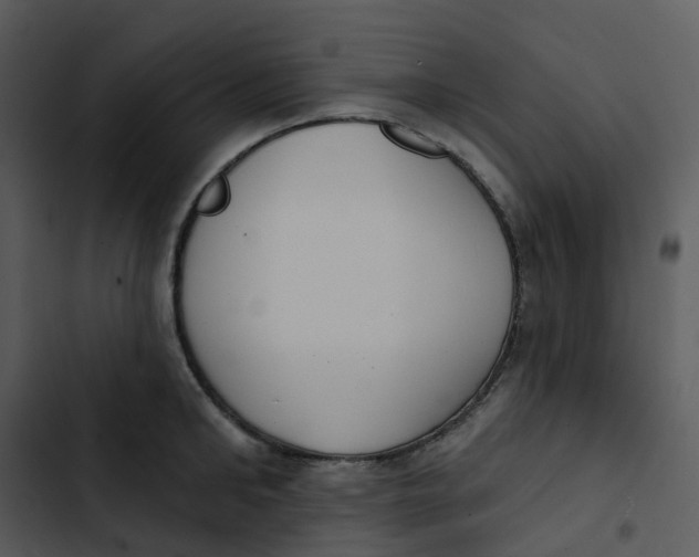 X0000102850902200809081240