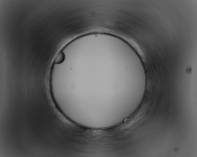 X0000102850903200809081240