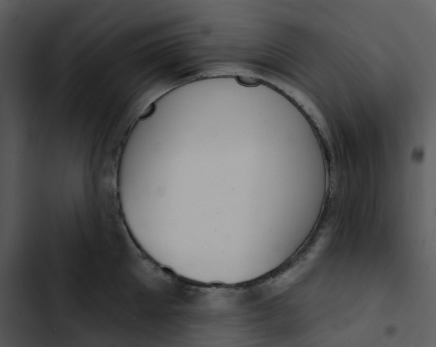 X0000102850905200809081240