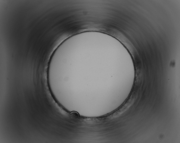 X0000102850906200809081240