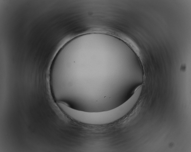 X0000102850907200809081240