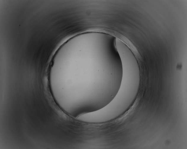 X0000102850908200809081240