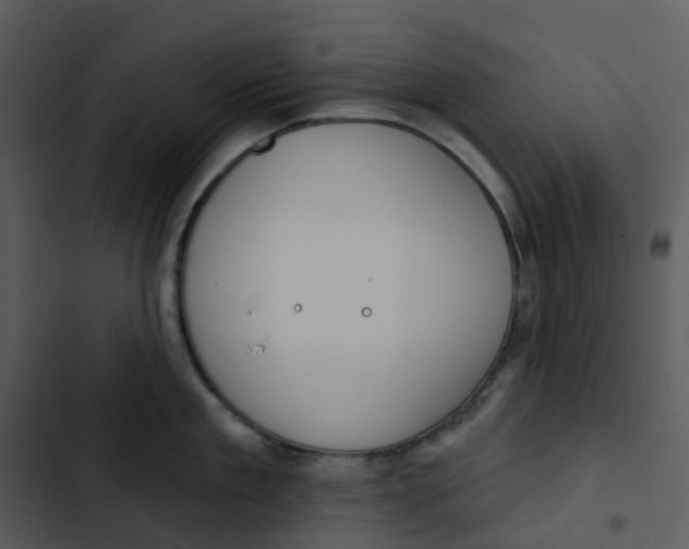 X0000102850909200809081240