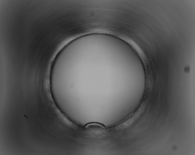 X0000102850910200809081240