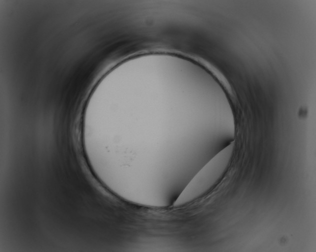 X0000102850911200809081240