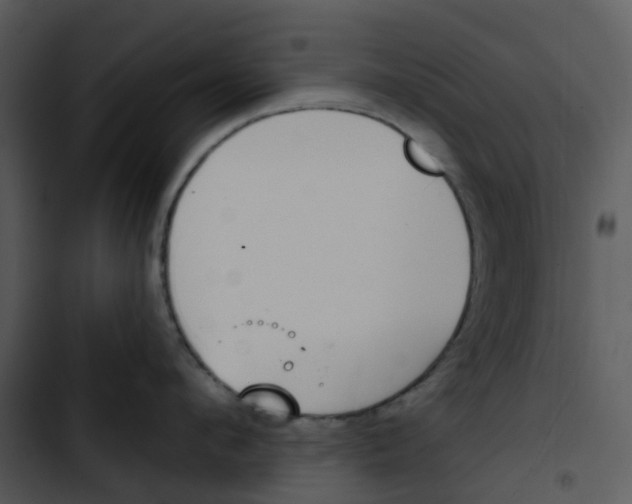 X0000102850912200809081240