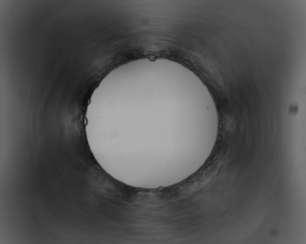 X0000102850914200809081239