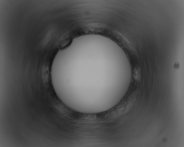 X0000102850915200809081239