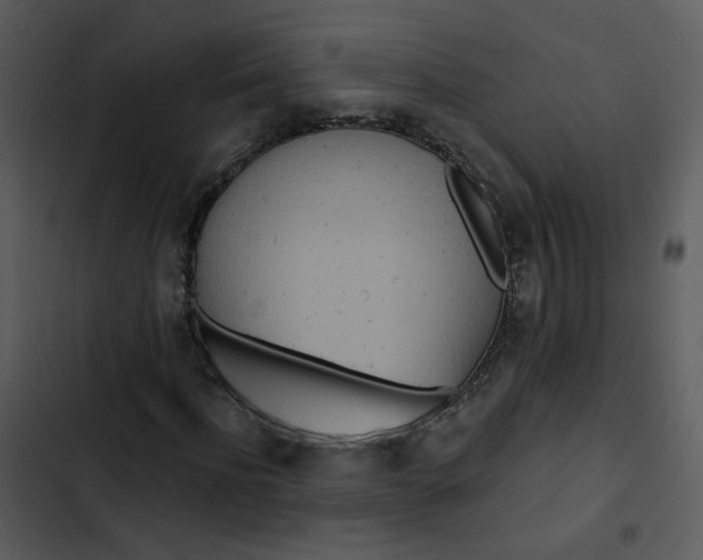 X0000102850916200809081239