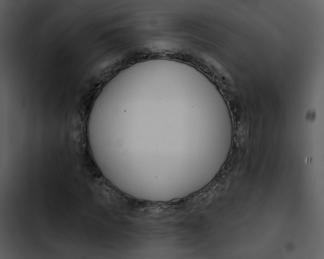 X0000102850917200809081239