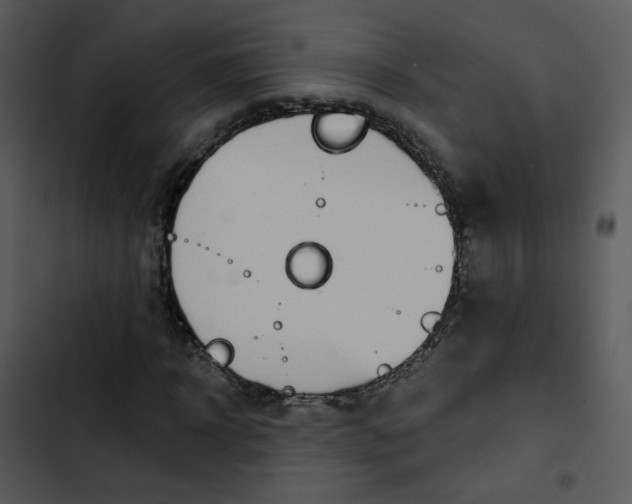 X0000102850918200809081240