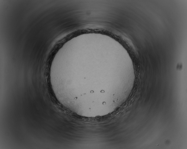 X0000102850920200809081240