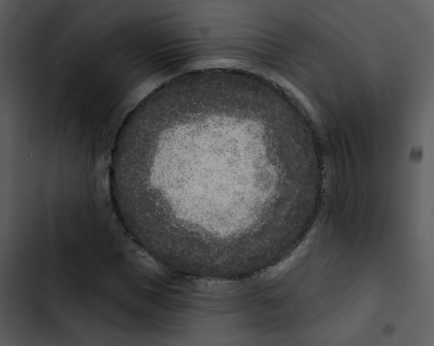 X0000102850921200809081240