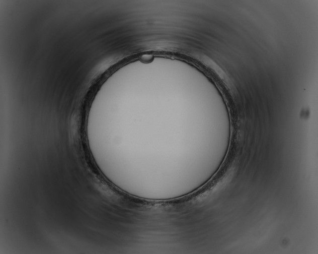 X0000102850922200809081240