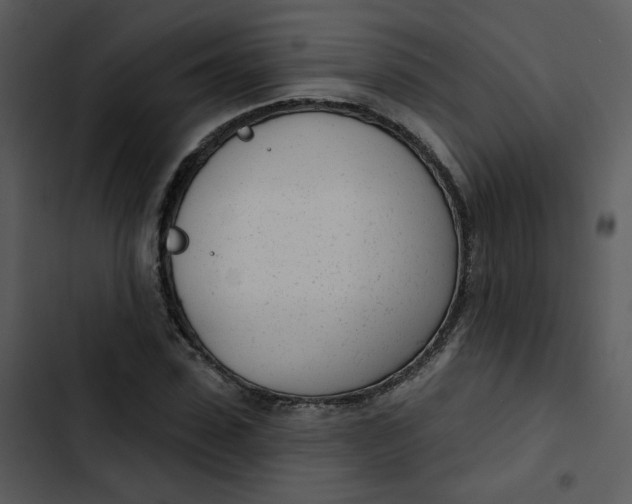 X0000102850923200809081240