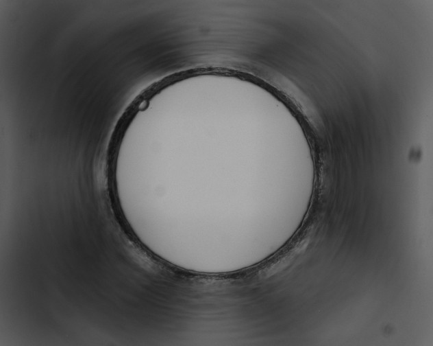 X0000102850924200809081240