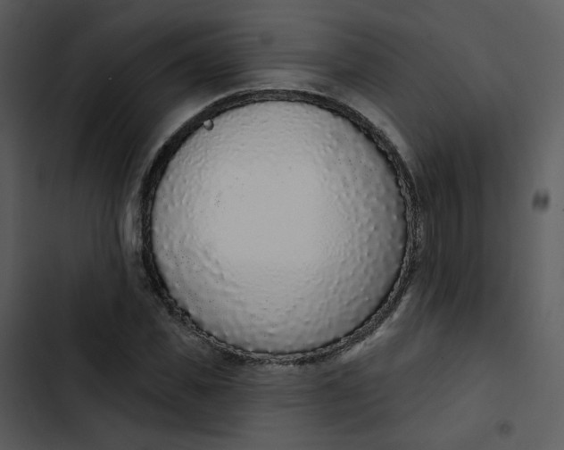 X0000102850925200809081240