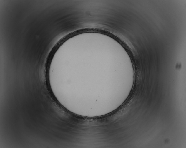 X0000102850927200809081240