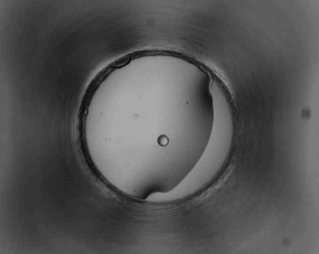 X0000102850928200809081240