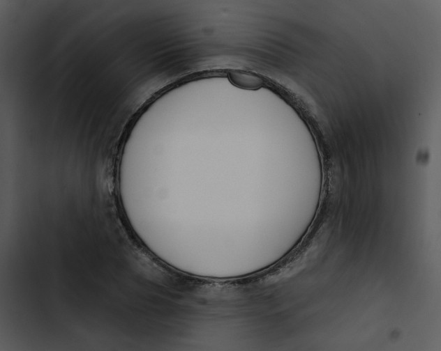 X0000102850929200809081240