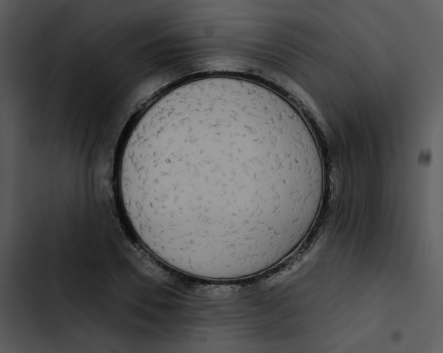 X0000102850930200809081240