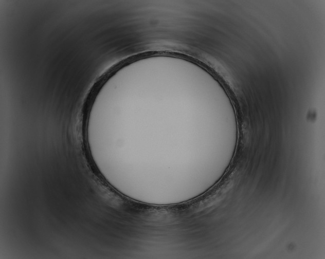 X0000102850931200809081240