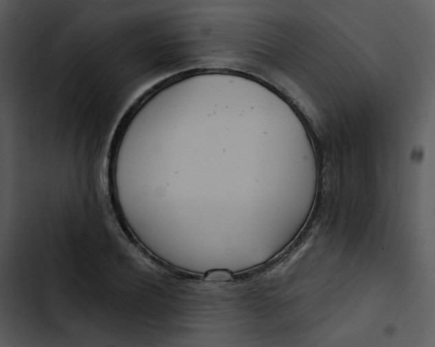 X0000102850932200809081240