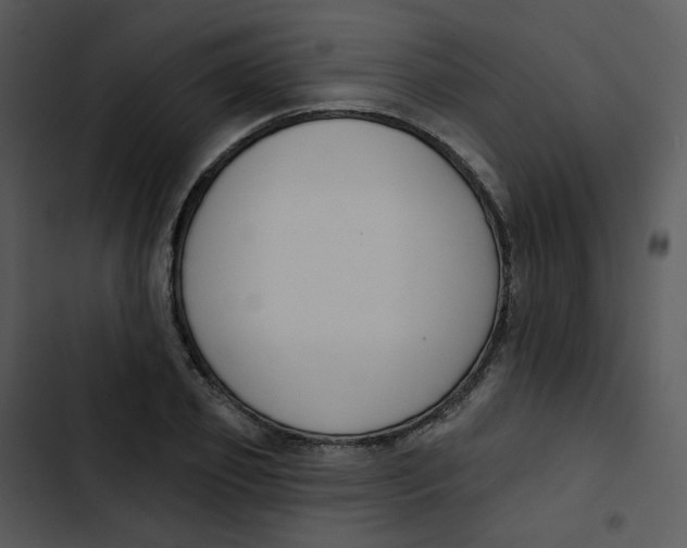 X0000102850933200809081240