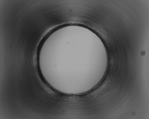 X0000102850934200809081240