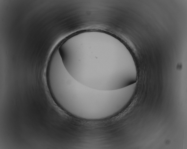 X0000102850936200809081240