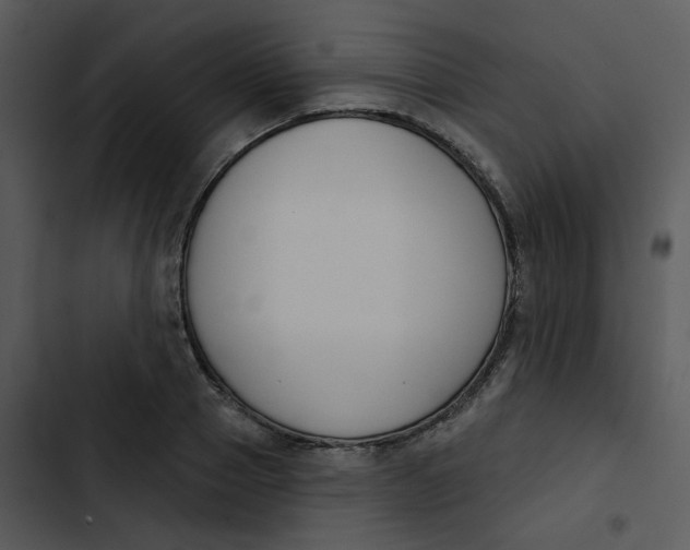 X0000102850937200809081240