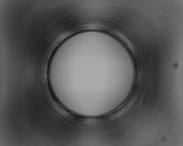 X0000102850938200809081240