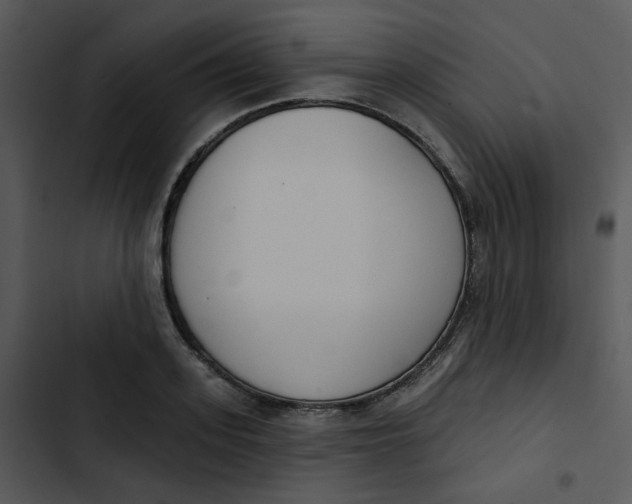 X0000102850939200809081240