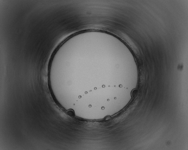 X0000102850940200809081240