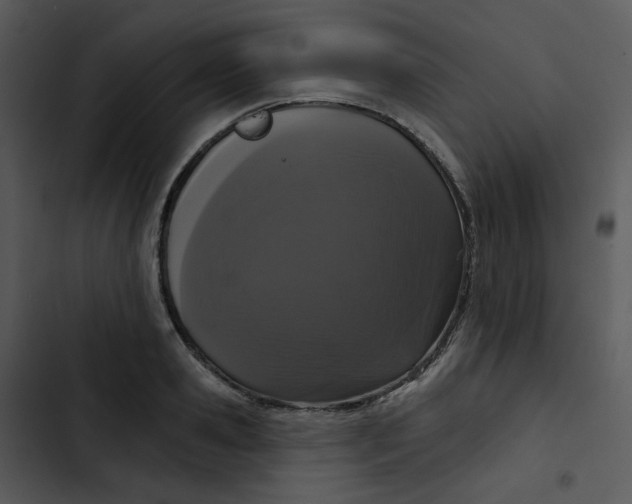 X0000102850941200809081240