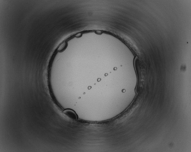 X0000102850942200809081240