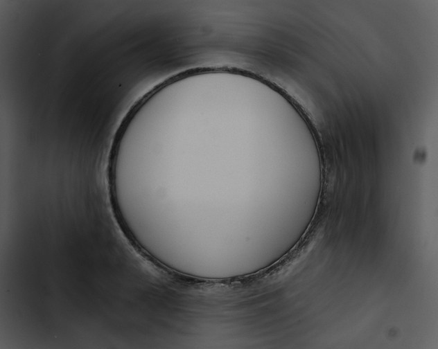 X0000102850943200809081240