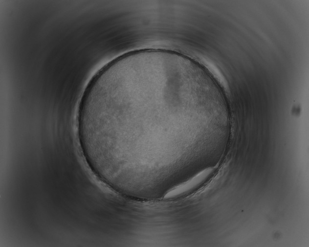 X0000102850944200809081240