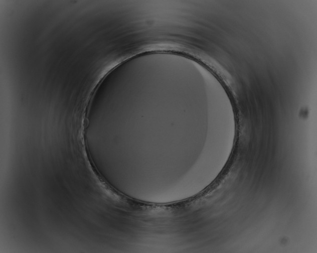 X0000102850945200809081240