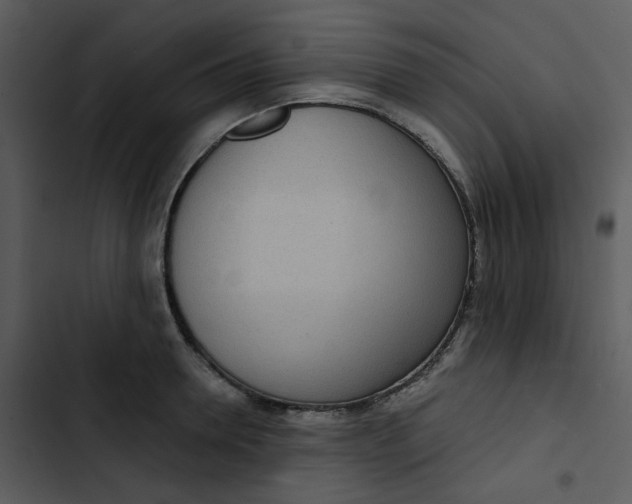 X0000102850946200809081240