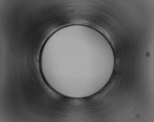 X0000102850947200809081240